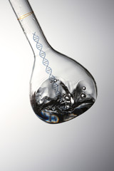 DNA実験イメージ