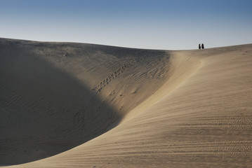 Fototapeta na wymiar deserto brasiliano