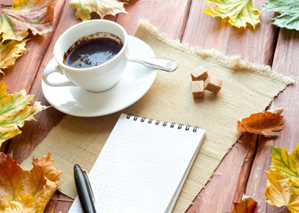 autumn stillife