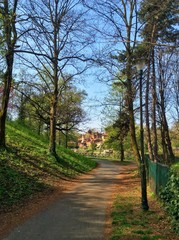 sentiero lungo po a torino