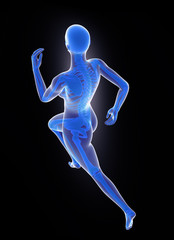 Female runner anatomy