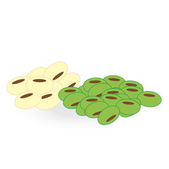 bean isolated on white background