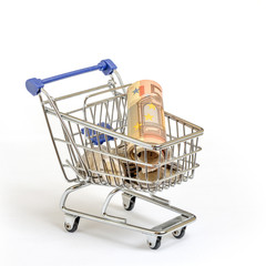 Einkaufswagen mit Geld