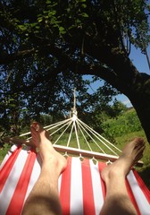 Resting under the tree in swing