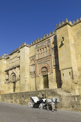 Horse carriage front mosque of Cordoba. Andalusia, Spain.