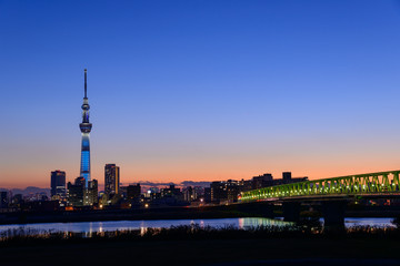Obraz premium Tokyo Sky Tree at dusk