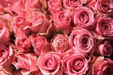 Pink roses in bridal bouquet