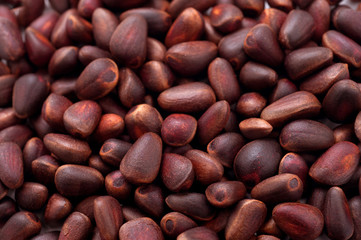 cedar nut