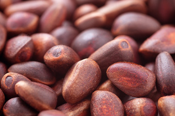 cedar nut