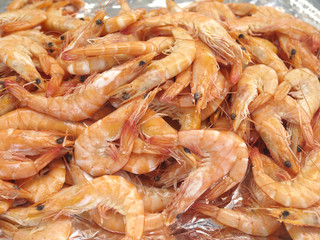 crevettes roses