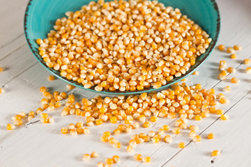 Corn seeds