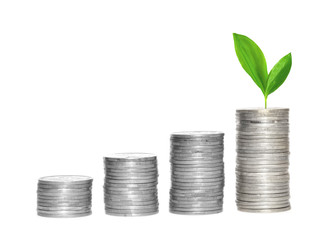 Savings, increasing columns of silver coins and green plant