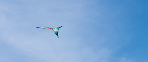 Cerf-volant