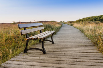 Fototapeta na wymiar lonely bench on seacoast footpath horizontal.