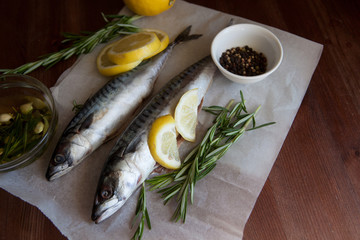 Mackerel Fish (Scomber scrombrus)