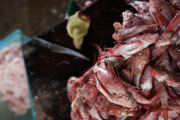 Fototapeta na wymiar fresh fish fillet on a plank in sea market