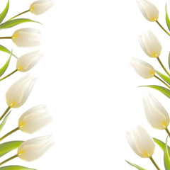 Tulip spring flowers bouquet for your card design.