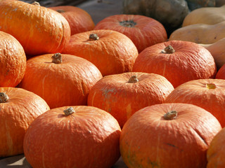 Kürbisse auf dem Gemüsemarkt