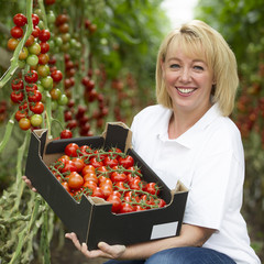 Blond woman 35 years old working in a greenhouse