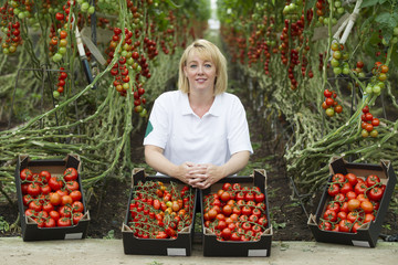 Blond woman 35 years old working in a greenhouse