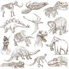 Photo sur Plexiglas Dinosaures Dinosaurs no.3 - an hand drawn illustrations, vector set