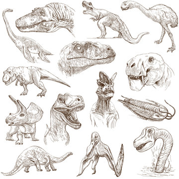 Dinosaurs no.1 - illustrations, full sized hand drawn set