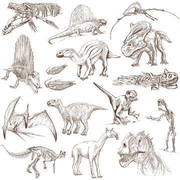 Dinosaurs no.2 - illustrations, full sized hand drawn set
