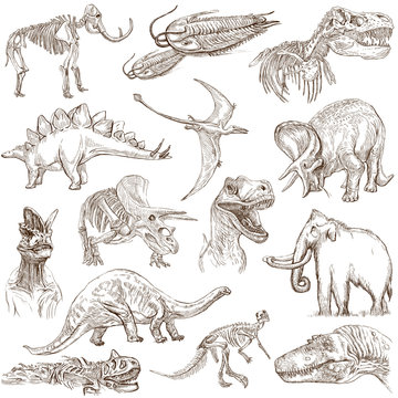 Dinosaurs no.3 - an hand drawn illustrations, vector set