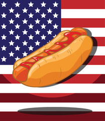 Hot dog. America Flag background