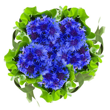 Fototapeta blue cornflowers round bouquet
