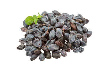 Dry Berberis