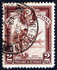 Postage stamp British Guiana 1934 Indian Shooting Fish