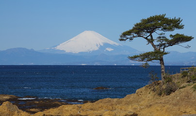 Fototapeta premium Mountain fuji and the ocean from sagami bay , yokosuka japan