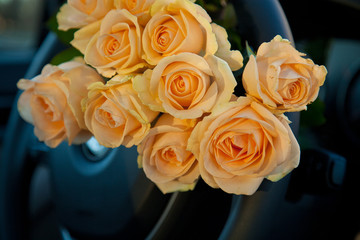 Freshly yellow roses