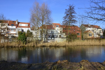 Fototapeta premium Fine couche de glace sur l'eau