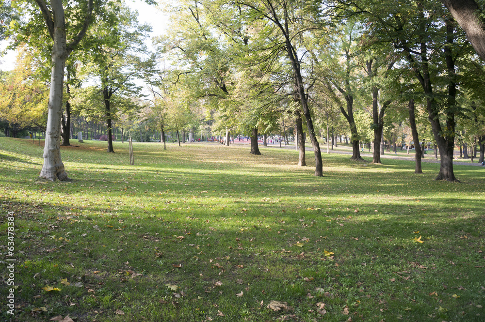 Wall mural empty park