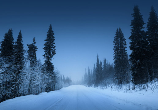 Fototapeta night road in winter forest