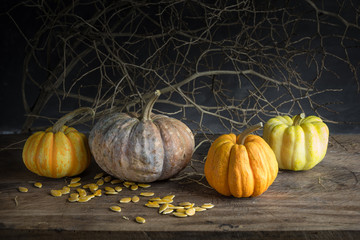 still life pumpkins