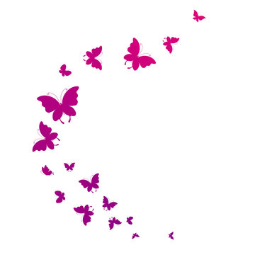 butterflies design