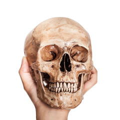 Skull in hand