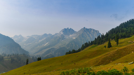 Meadows in the Himalayas