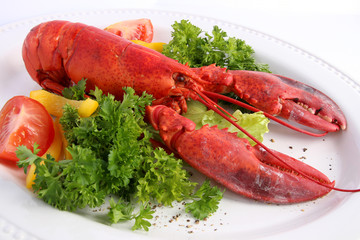 Cooked lobster with various vegetables on white plat - 63482590