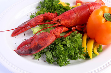 Cooked lobster with various vegetables on white plat