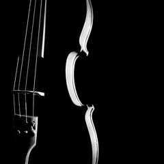 Violin orchestra musical instruments © Alenavlad