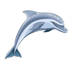 Obraz premium Dolphin. Eps8 vector illustration. Isolated on white background