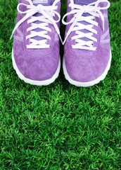 Beautiful gumshoes on green grass background
