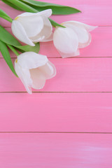 Fototapeta na wymiar Beautiful bouquet of white tulips on pink background