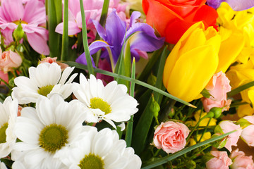 Beautiful flowers close up