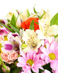 Fototapeta premium Beautiful flowers isolated on white