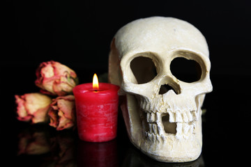 Composition with skull,  candle and dried rose isolated on